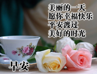 愿世界温柔相待的句子
