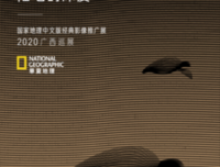 被偏爱的都有恃无恐经典的句子