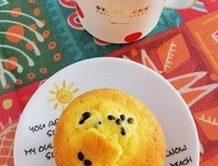 宝心的花园