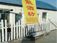 看得见风景的房间读后感100字