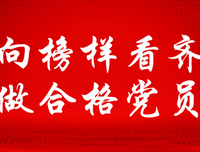 《非我吉日》的观后感大全