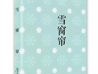 《我的世界下雪了》读后感1000字