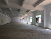 《罗马环城高速》经典观后感有感