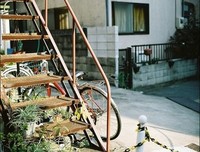 有关Leslie经典语录