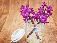 最经典的《年少的你》佳句摘抄大全