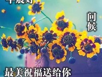 最全的《心是温柔的起点》经典句子