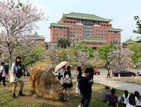 最经典的《扶摇皇小打还么人》小说摘抄
