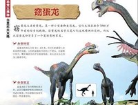爱情、恐龙和猫读后感1000字