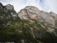 国境以南太阳以西读后感摘抄