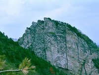 《延时拍摄》观后感摘抄