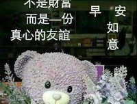 最美的句子