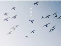 徐志摩句子大全