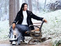 情为何物经典的句子
