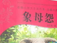 怅然年华读后感1000字