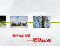 15条关于优柔寡断的经典语句