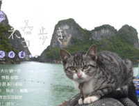 《岩合光昭的猫步走世界》经典影评有感
