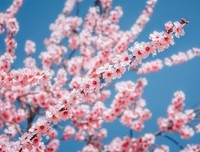 不如送我一场春雨好词好句