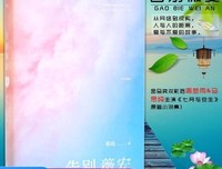 安妮宝贝 彼岸花 蔷薇岛屿的句子