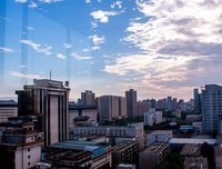 关于清酒的句子