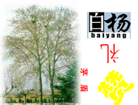 然而。的优美句子
