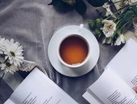 《没有世界观的世界》的读后感大全