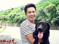 《爱很怪》经典观后感集