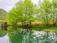 关于风起云涌的语句