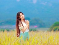 关于宋词的优美句子