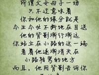 龙应台优美的句子