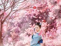 有关落尽红樱君不见、轻绘梨花泪沾衣的句子