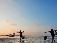 最经典的《大夏汤侯》经典的句子大全