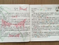 最经典的《玉兰花开》语录摘抄