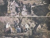 夏娃的种子经典读后感有感