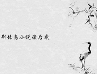 小鸟读后感锦集