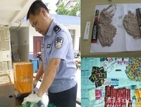《毒品生意》好看吗？经典观后感锦集