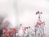 《追爱时光机》观后感摘抄