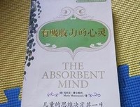 有吸收力的心灵的读后感大全