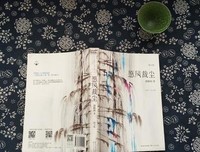 《愿风裁尘》的句子