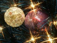 《明信片》的句子