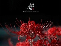 《流离的彼岸花》好段摘抄