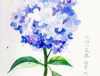 《蓝色天竺葵》经典影评有感