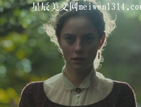 《呼啸山庄》读后感100字