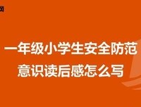 《意识的限度》读后感100字