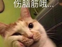《面包和汤和猫咪好天气》观后感摘抄
