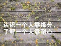 就是这样懦弱句子大全