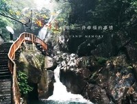《不在他处，正是此地》经典影评有感