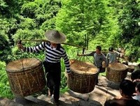 不可逆转的名句_关于不可逆转的名句