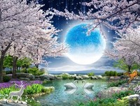 花好月圆的语句摘抄_关于花好月圆的语句
