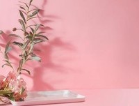 有关传宗接代的美句摘抄