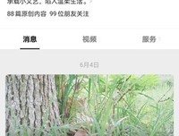 我的原创句子大全